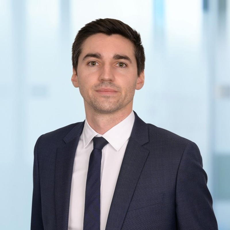 Alexis Bougouin, EY-Parthenon